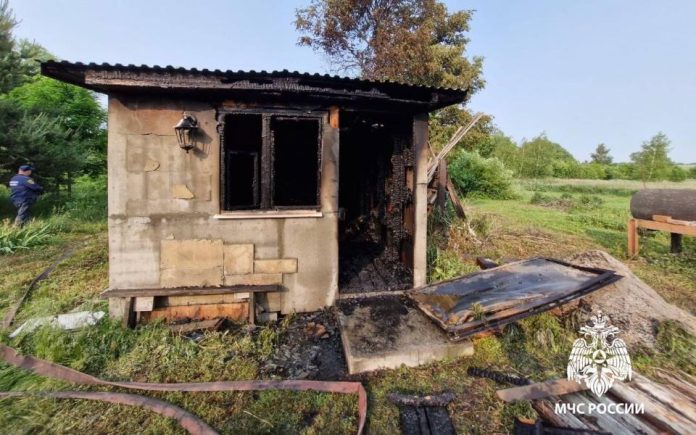 photo_2025_06_06_13_38_26