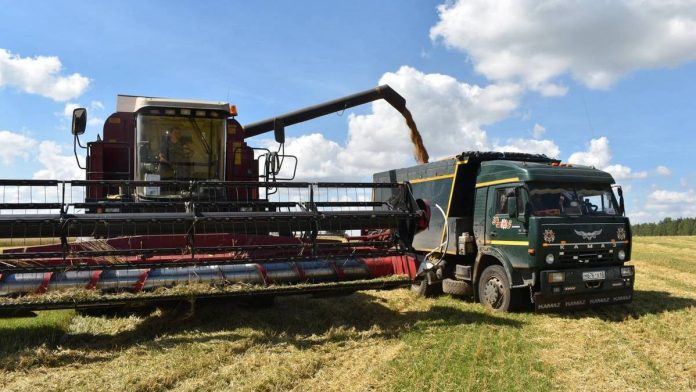 уборочная. Захарово. 13.08.2025