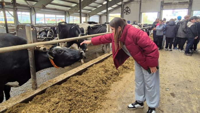 YEMViejHWBCEtFv7Sv1-xRIVk-S0PQbbBxl0SLdYrf5uP6IZFYAEUnieQ_2pUr4zlmlK8j0MlIgDcJSBbYk0UoCi