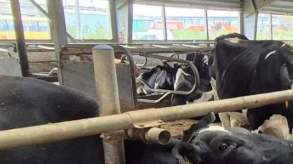 YEMViejHWBCEtFv7Sv1-xRIVk-S0PQbbBxl0SLdYrf5uP6IZFYAEUnieQ_2pUr4zlmlK8j0MlIgDcJSBbYk0UoCi-1068x601