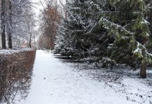 Захаровский район накрыло снегом