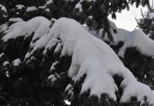 26 января в Рязанской области будет облачно с прояснениями