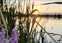Главный захаровский пляж готовят к купальному сезону