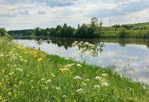 В Захаровском округе утонул житель села Плахино