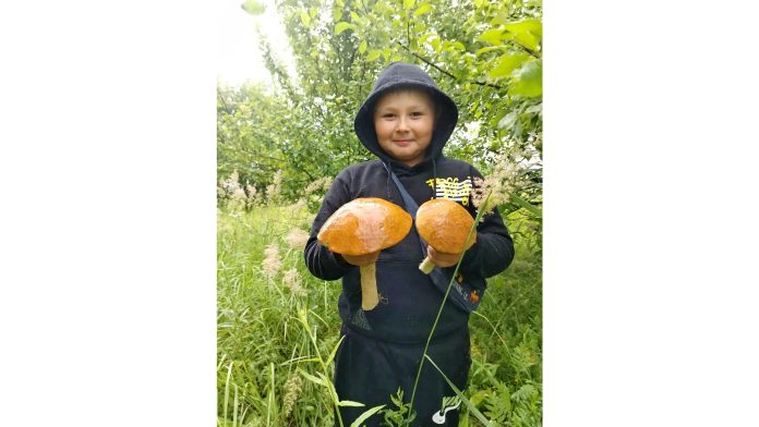 Запхарово_грибы_24.07 (2)