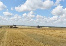 Захаровские аграрии намолотили более 90 тонн зерна