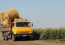 В Захаровском округе убирают кукурузу на зерно и силос